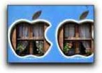 applewindows