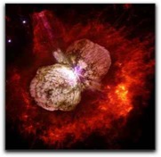 Saetacarinae